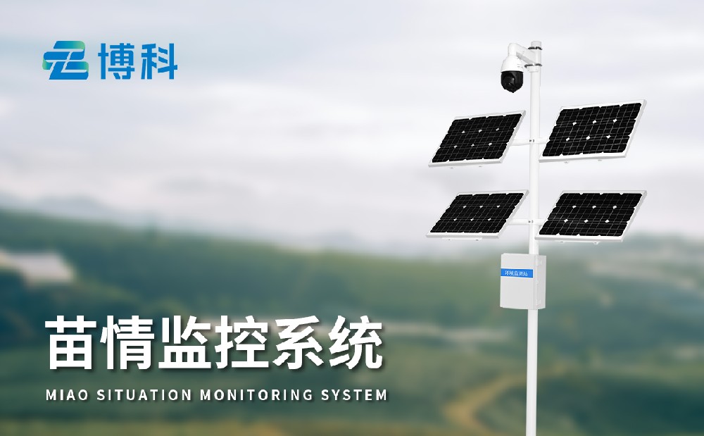 苗情監測系統